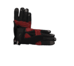 Handschuh für Wintersportler [Digital] – Bild 2