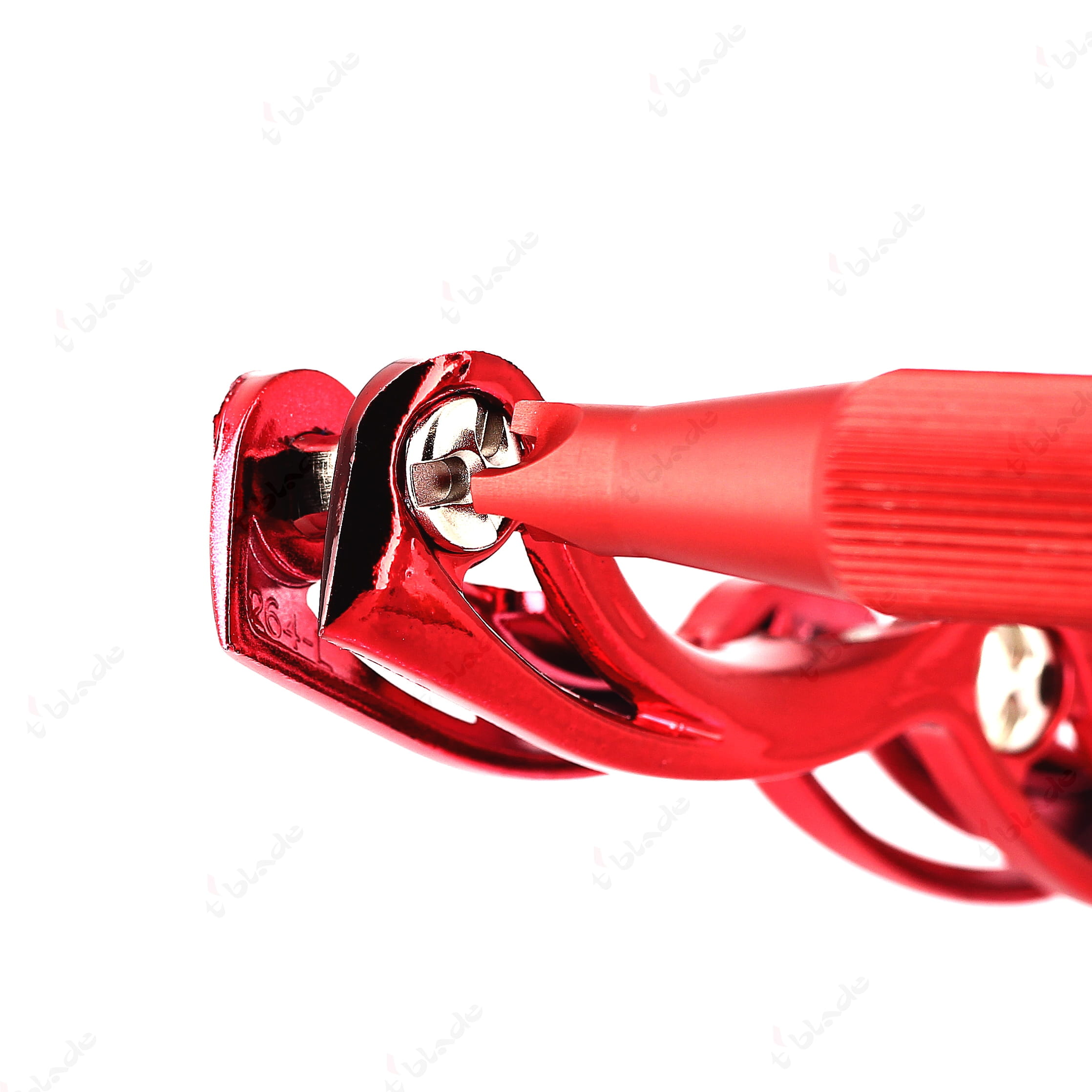 Eigener Schuh mit Montage – Bild 1